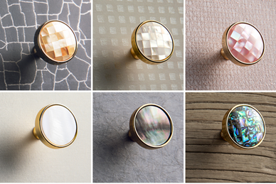 Natural shell door knob collection